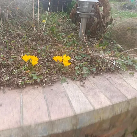 S Terasou A Zahradou Brünn