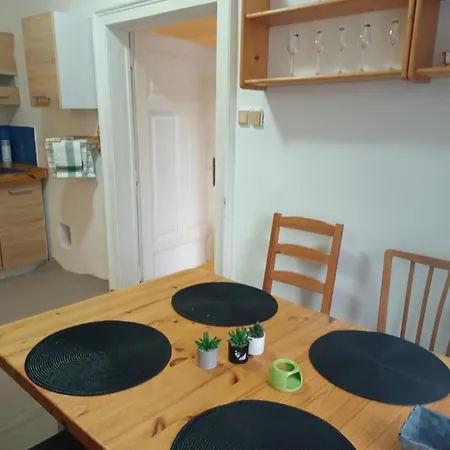 S Terasou A Zahradou Apartmán Brno
