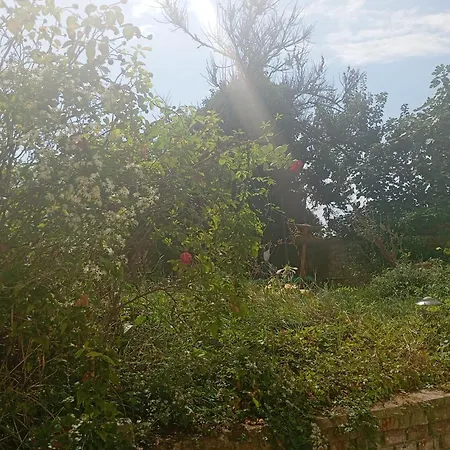 Appartement S Terasou A Zahradou *