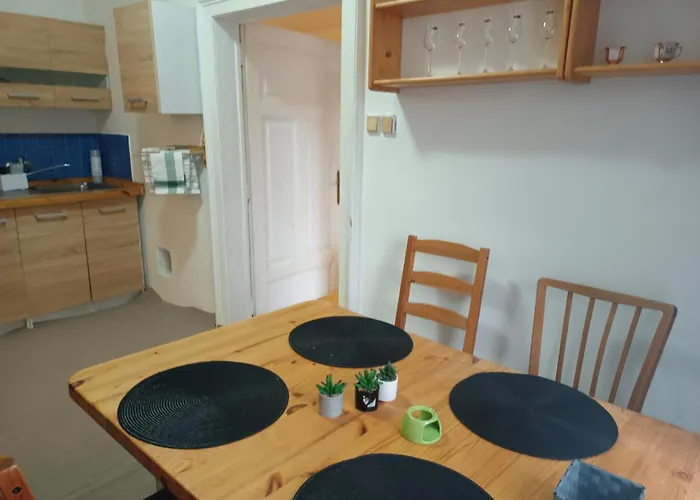 S Terasou A Zahradou Appartement Brno