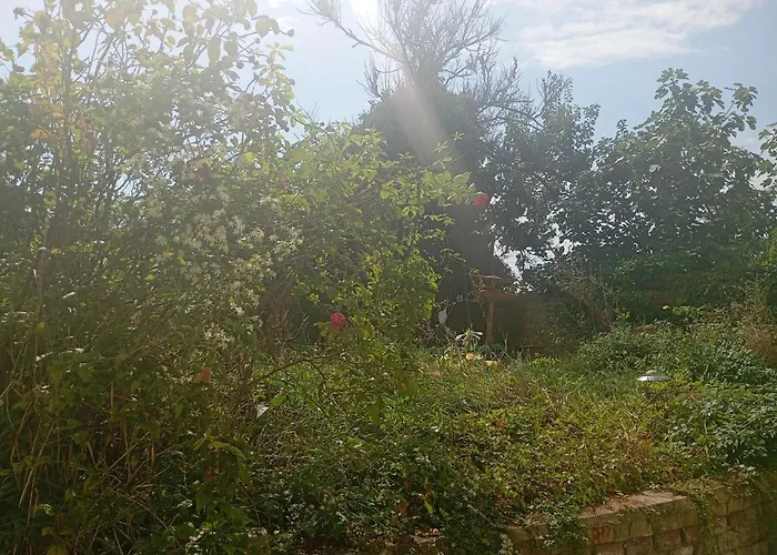 Appartement S Terasou A Zahradou *